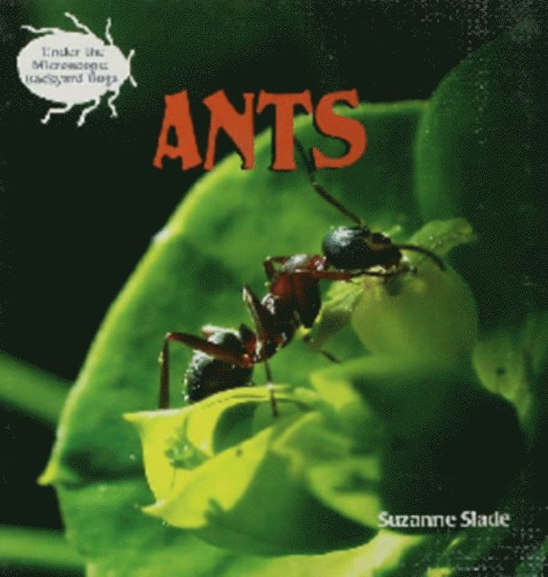 Ants