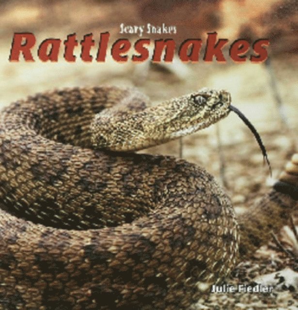 Julie Fiedler - Rattlesnakes, E-bok. Tillgänglighet: Lägg i varukorg