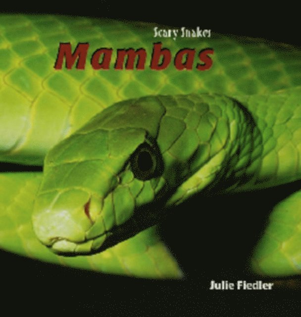 Julie Fiedler - Mambas, E-bok. Tillgänglighet: Lägg i varukorg