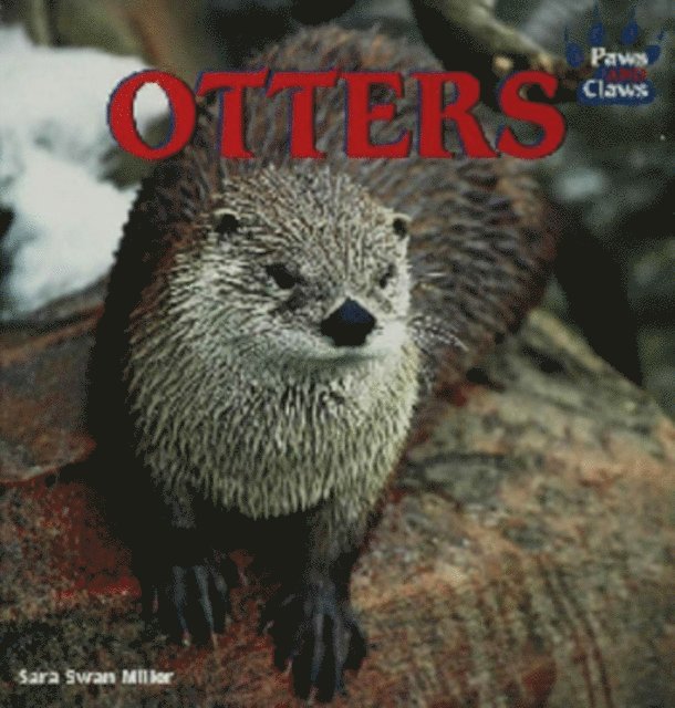 Sara Swan Miller - Otters, E-bok