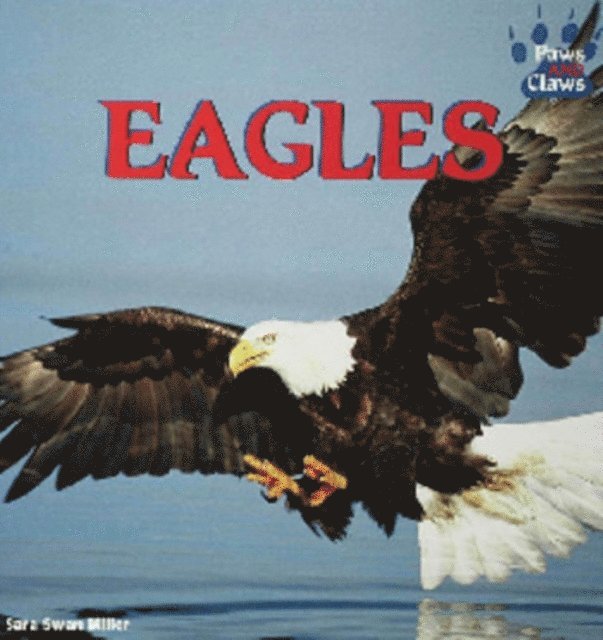 Sara Swan Miller - Eagles, E-bok