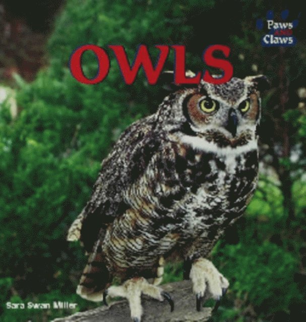 Sara Swan Miller - Owls, E-bok