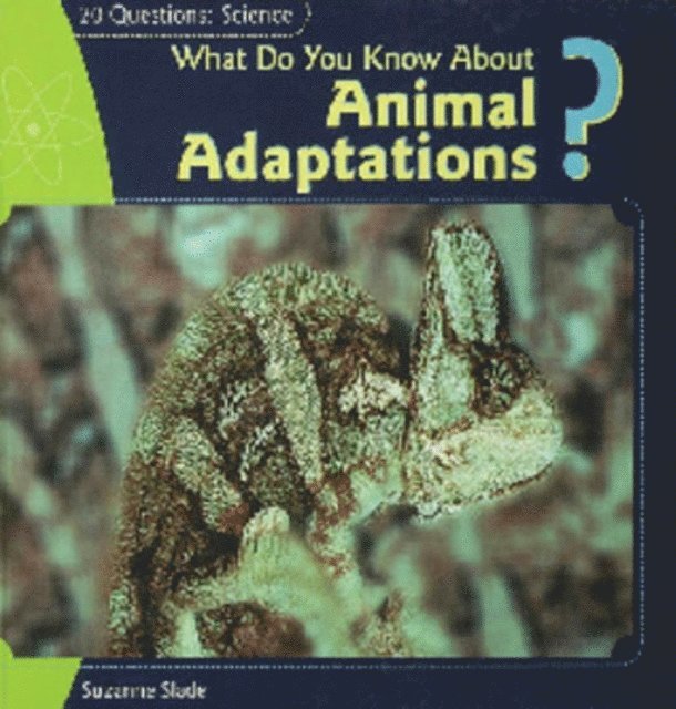 What Do You Know About Animal Adaptations?