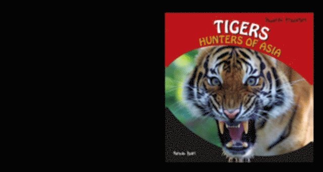 Norman Pearl - Tigers, E-bok