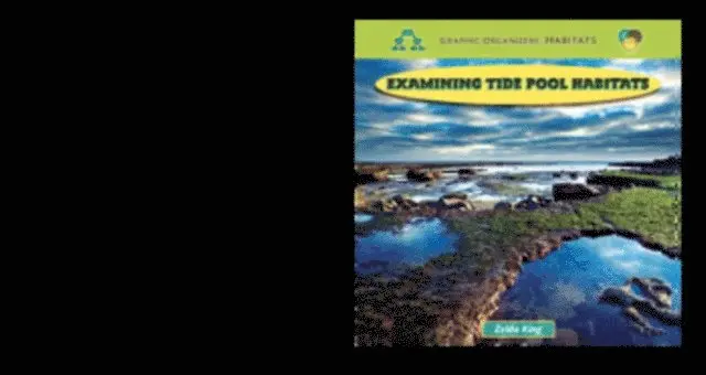 Zelda King - Examining Tide Pool Habitats, E-bok. Tillgänglighet: Lägg i varukorg