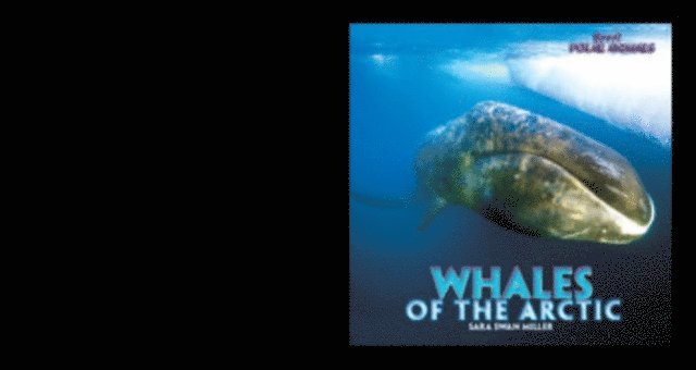 Sara Swan Miller - Whales of the Arctic, E-bok