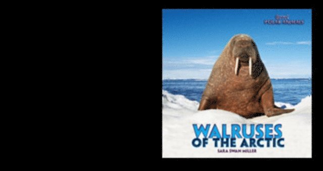 Sara Swan Miller - Walruses of the Arctic, E-bok