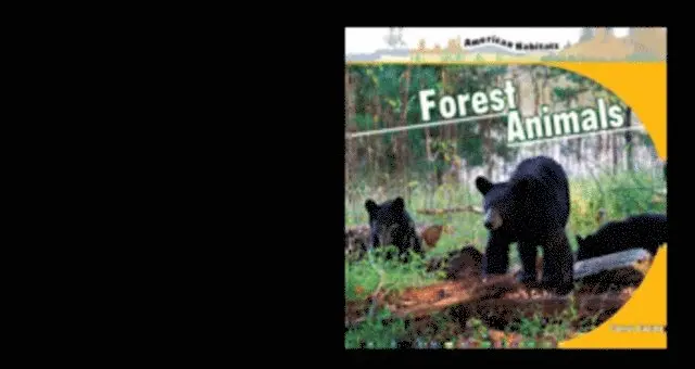 Connor Dayton - Forest Animals, E-bok. Tillgänglighet: Lägg i varukorg