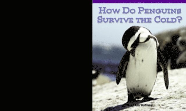 Mary Ann Hoffman - How Do Penguins Survive the Cold?, E-bok