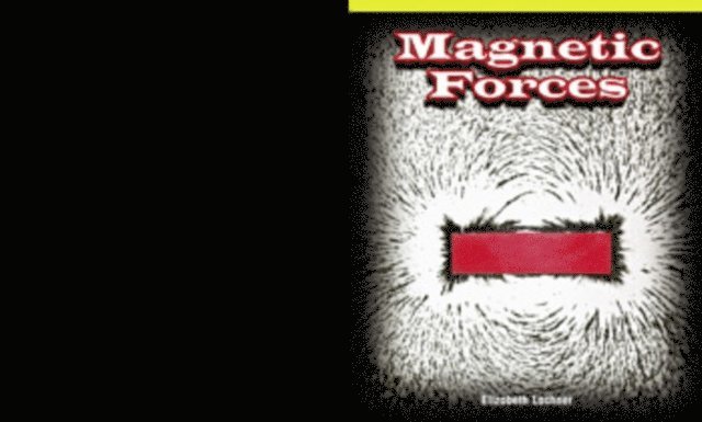 Elizabeth Lachner - Magnetic Forces, E-bok