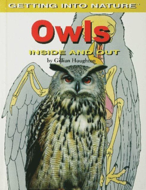 Gillian Houghton - Owls, E-bok. Tillgänglighet: Lägg i varukorg
