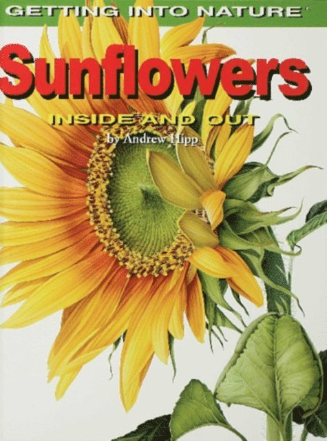 Andrew Hipp - Sunflowers, E-bok