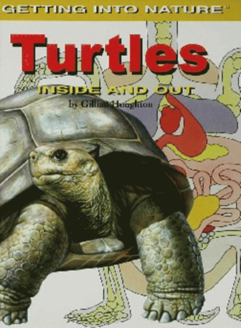 Gillian Houghton - Turtles, E-bok