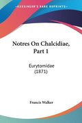 Notres On Chalcidiae, Part 1