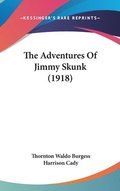 The Adventures of Jimmy Skunk (1918)