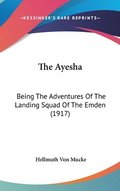 The Ayesha: Being the Adventures of the Landing Squad of the Emden (1917)