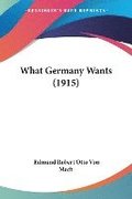 What Germany Wants (1915)
