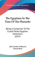 The Egyptians In The Time Of The Pharaohs: Being A Companion To The Crystal Palace Egyptian Collections (1857)