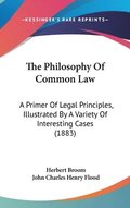 The Philosophy of Common Law: A Primer of Legal Principles, Illustrated by a Variety of Interesting Cases (1883)