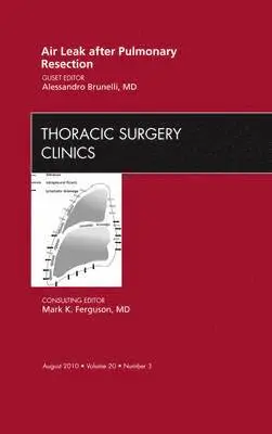 Alessandro Brunelli - Air Leak after Pulmonary Resection, An Issue of Thoracic Surgery Clinics, Inbunden. Tillgänglighet: Lägg i varukorg