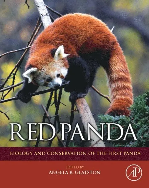 Angela R. Glatston - Red Panda, E-bok. Tillgänglighet: Lägg i varukorg
