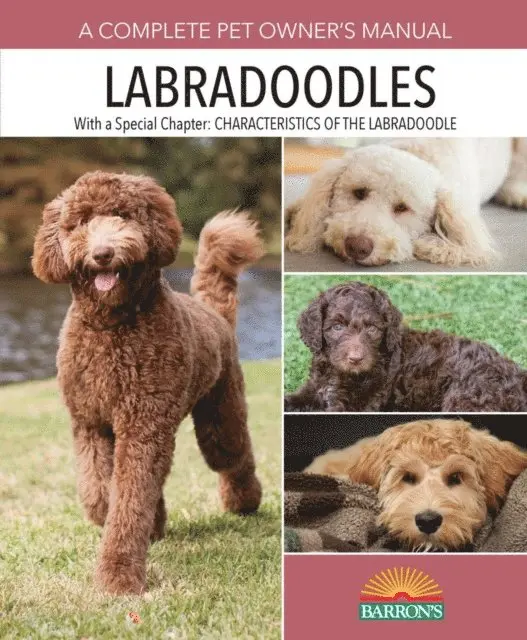 Joan Hustace Walker - Labradoodles, E-bok. Tillgänglighet: Lägg i varukorg