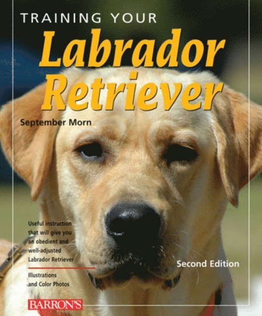 September Morn - Training Your Labrador Retriever, E-bok. Tillgänglighet: Lägg i varukorg