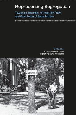 Brian Norman, Piper Kendrix Williams - Representing Segregation, Häftad