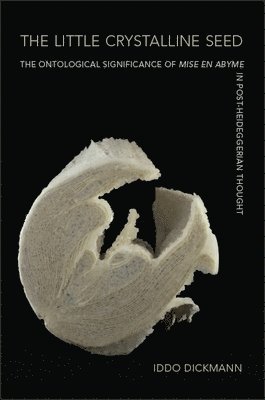 Iddo Dickmann - Little Crystalline Seed, Häftad