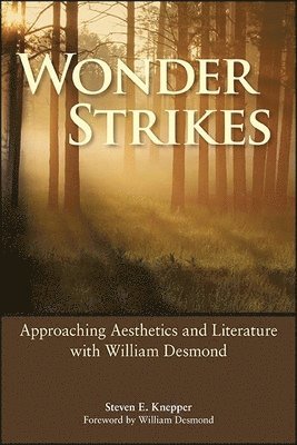 Steven E. Knepper - Wonder Strikes, Häftad. Tillgänglighet: Lägg i varukorg
