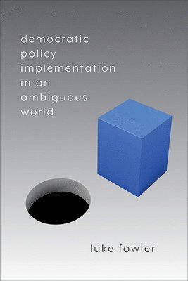 Luke Fowler - Democratic Policy Implementation in an Ambiguous World, Häftad. Tillgänglighet: Lägg i varukorg