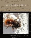 Mason-bees