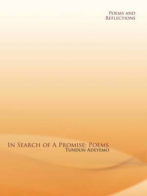 Tundun Adeyemo - In Search of a Promise, Häftad. Tillgänglighet: Lägg i varukorg