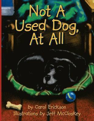 Not A Used Dog, At All