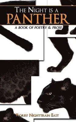 Rorry Nighttrain East - Night is a Panther, Häftad. Tillgänglighet: Lägg i varukorg