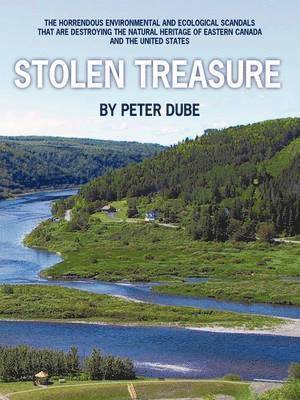 Peter Dube - Stolen Treasure, Häftad