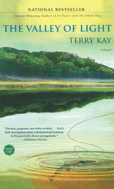 Terry Kay - Valley of Light, E-bok