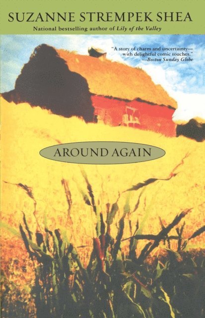 Suzanne Strempek Shea - Around Again, E-bok