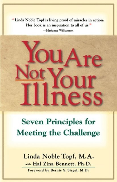 Linda Topf - You Are Not Your Illness, E-bok