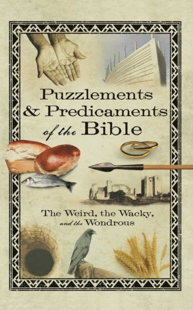 Howard Books - Puzzlements & Predicaments of the Bible, E-bok