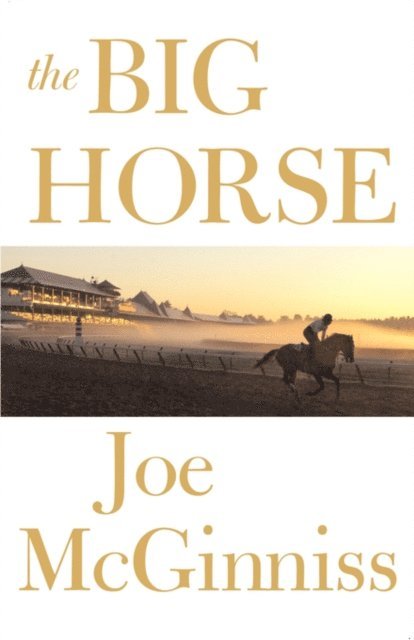 Joe McGinniss - Big Horse, E-bok