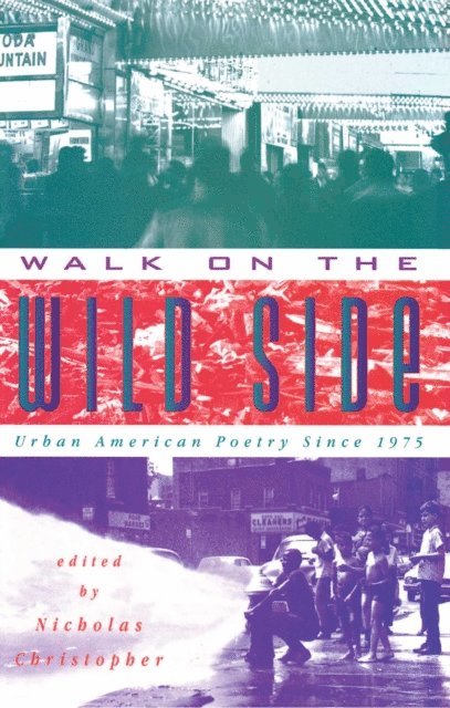 Nicholas Christopher - Walk On The Wild Side, E-bok