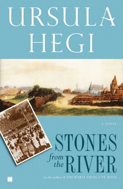 Ursula Hegi - Stones from the River, E-bok
