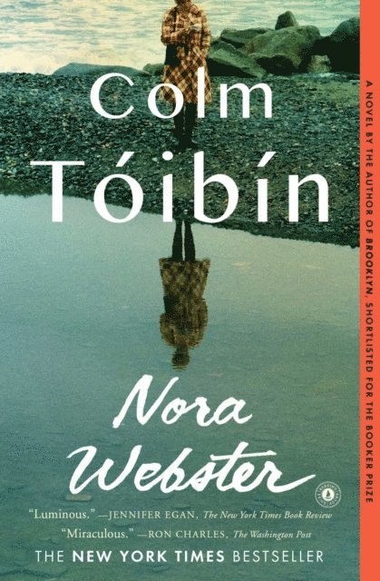 Colm Toibin - Nora Webster, E-bok
