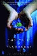 Amaryllis in Blueberry