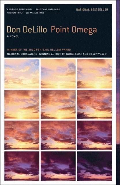 Don DeLillo - Point Omega, E-bok