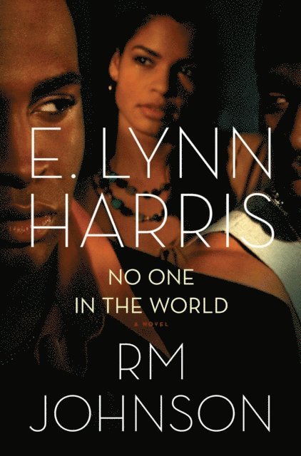 RM Johnson, E. Lynn Harris - No One in the World, E-bok