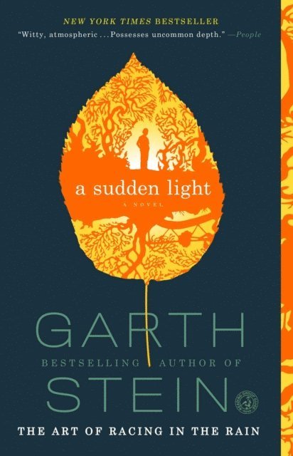 Garth Stein - Sudden Light, E-bok
