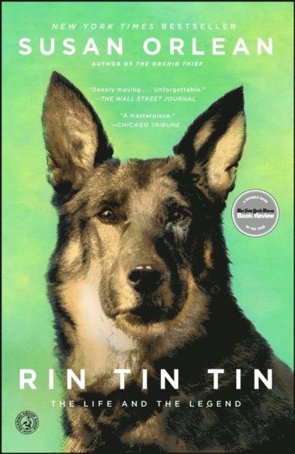 Susan Orlean - Rin Tin Tin, E-bok