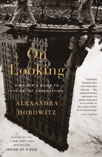 On Looking